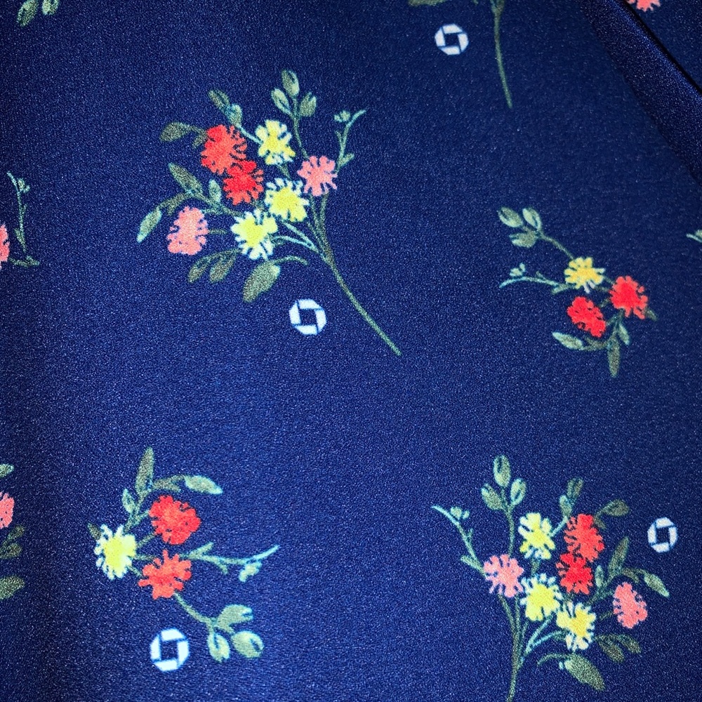 Chase/ Jason Wu Collab Lands End Uniform